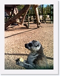 Watch me (2) * 576 x 768 * (79KB)